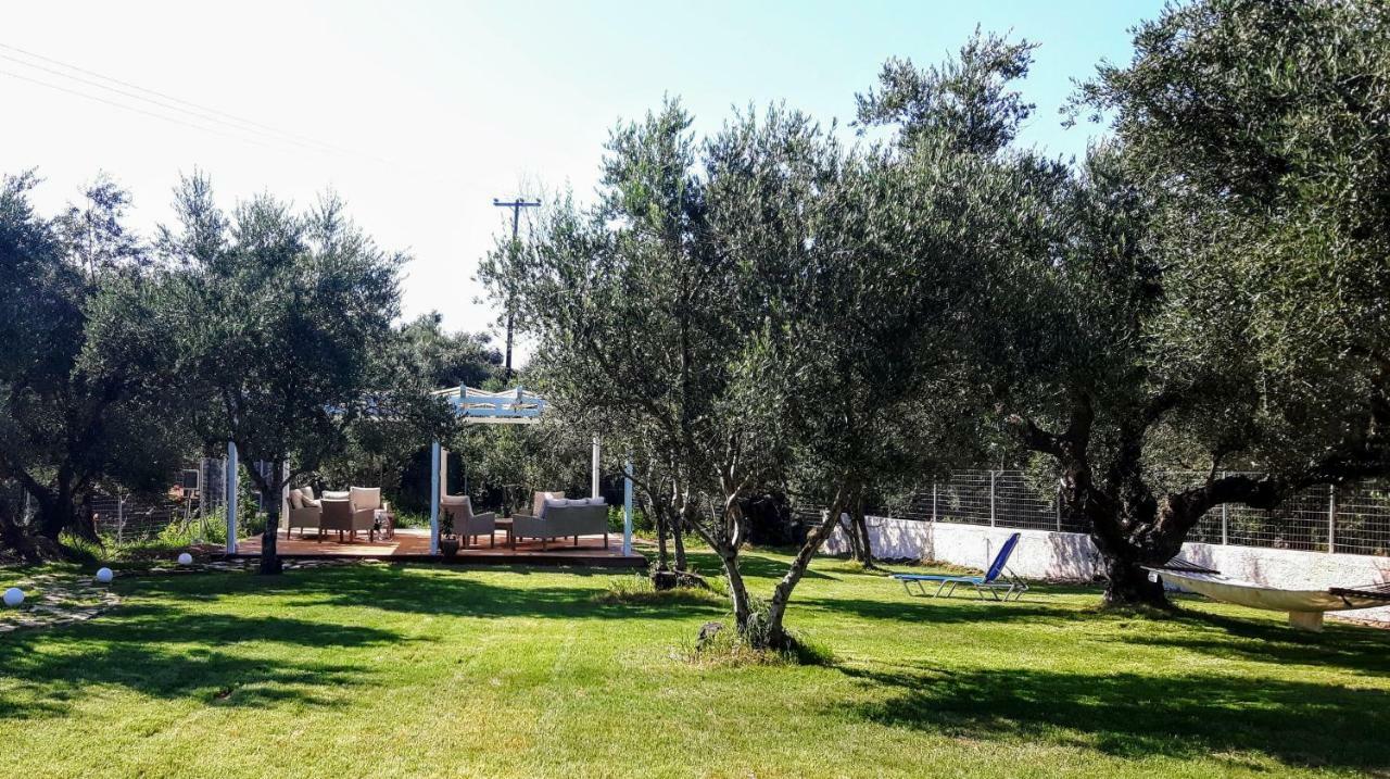 Rodis Studios تسيليفي المظهر الخارجي الصورة